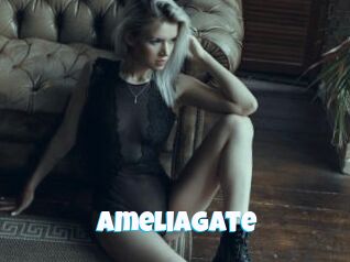 AmeliaGate