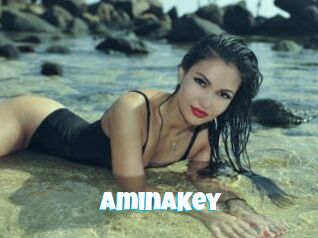 AminaKey