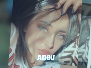 Aneu