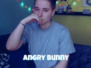 Angry_Bunny