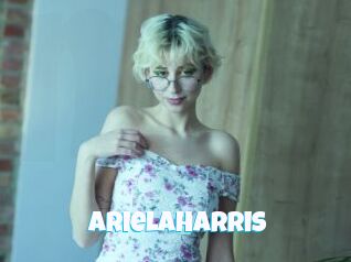 ArielaHarris Miss Gros Seins