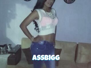 Assbigg