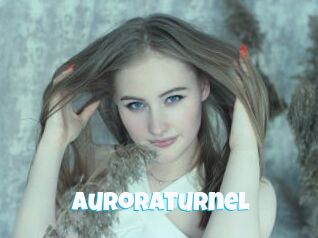 AuroraTurnel