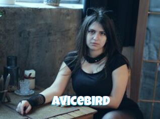 AviceBird