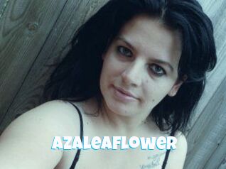 AzaleaFlower