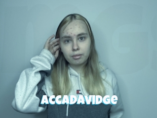 Accadavidge