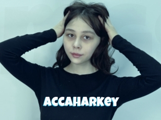 Accaharkey
