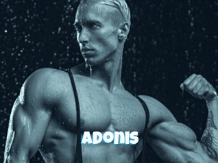 Adonis_