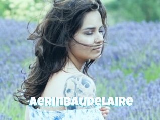 Aerinbaudelaire