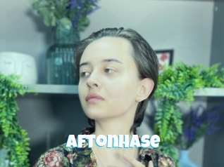 Aftonhase