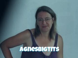 Agnesbigtits