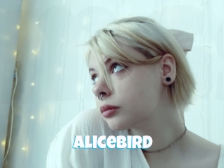 Alicebird