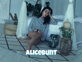 Alicebunt