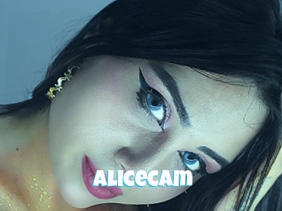 Alicecam