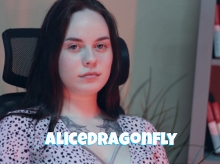 Alicedragonfly