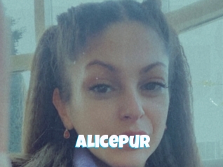 alicepur Miss Gros Seins