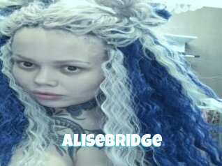 Alisebridge