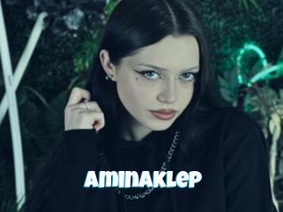 Aminaklep
