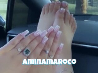 Aminamaroco