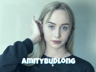 Amitybudlong