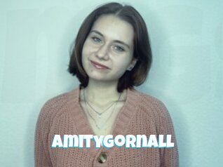 Amitygornall