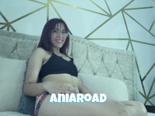 Aniaroad