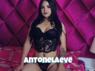 Antonelaeve