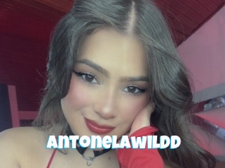 Antonelawildd