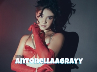 Antonellaagrayy