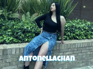 Antonellachan