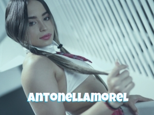 antonellamorel Miss Gros Seins