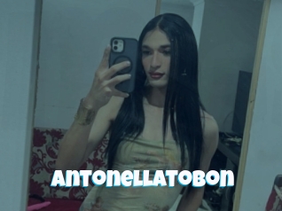 Antonellatobon