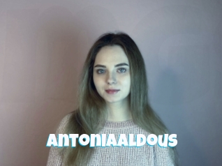 Antoniaaldous