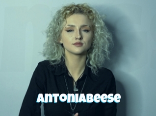 Antoniabeese