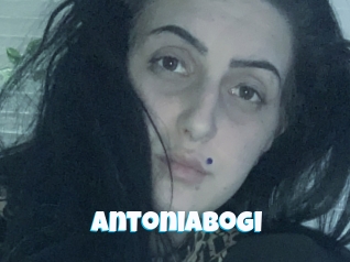 Antoniabogi