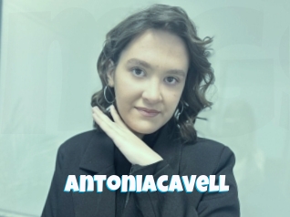 Antoniacavell