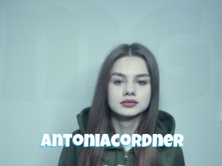 Antoniacordner