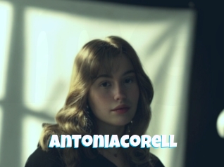 Antoniacorell