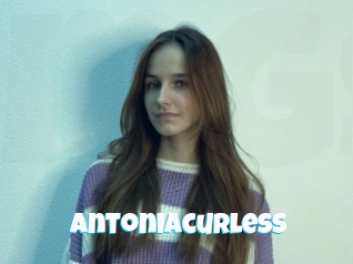 Antoniacurless