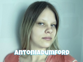 Antoniadumford