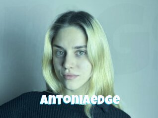 Antoniaedge