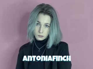 Antoniafinch