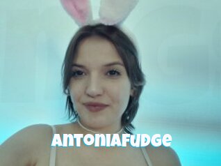 Antoniafudge