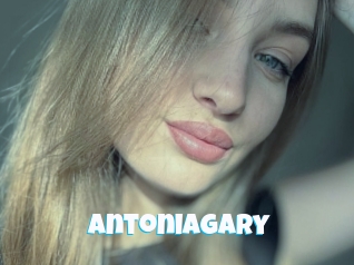 Antoniagary