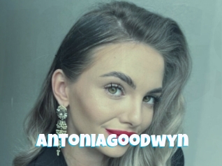 Antoniagoodwyn
