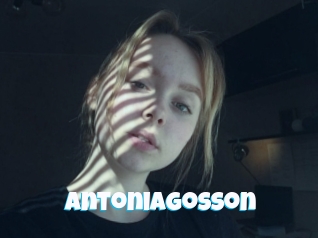 Antoniagosson