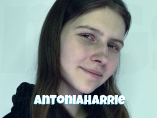 antoniaharrie Miss Gros Seins