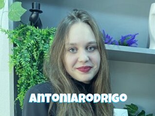 Antoniarodrigo