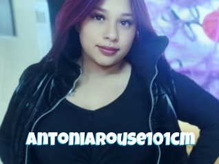 Antoniarouse101cm