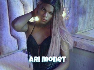 Ari_monet
